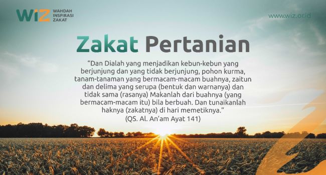 Zakat Pertanian